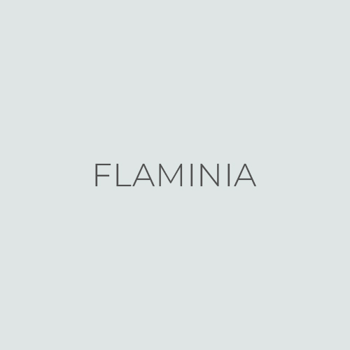 FLAMINIA