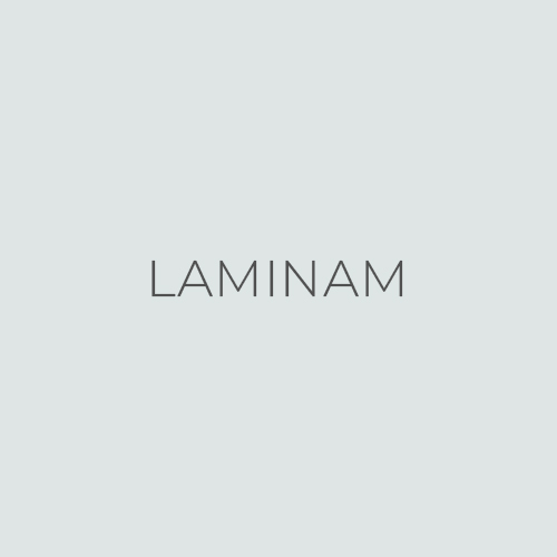 LAMINAM
